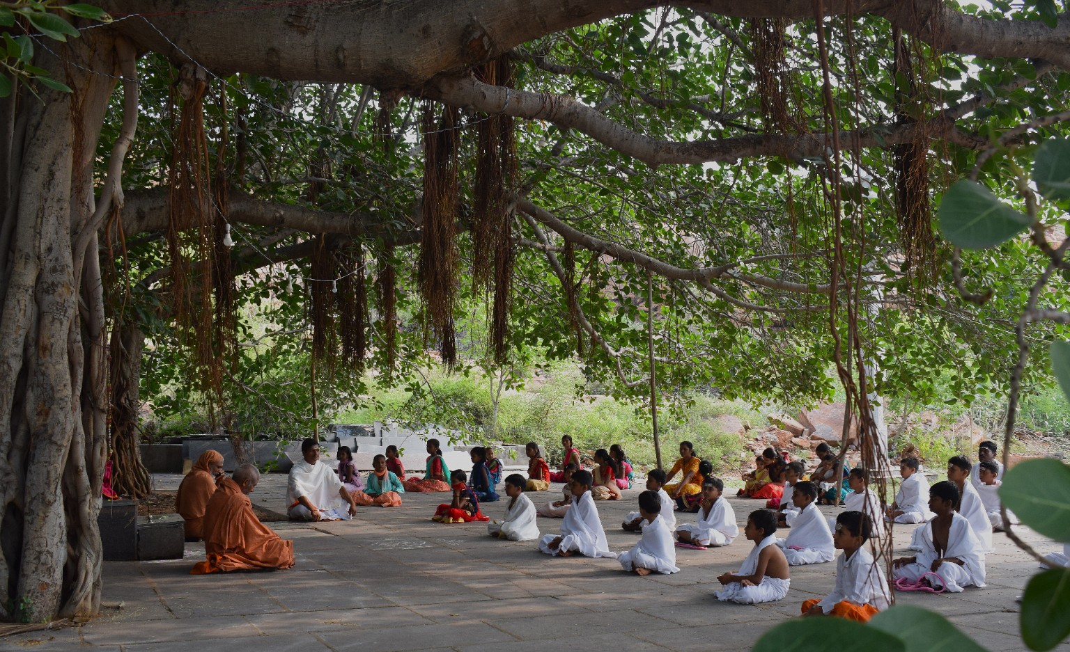 Children learning under a banyan tree